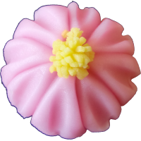 四季の舞　秋桜