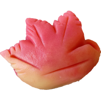 四季の舞　紅葉