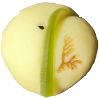 四季の舞　虫の音