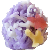 四季の舞　嵯峨野