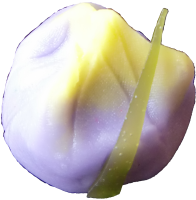 四季の舞　菖蒲