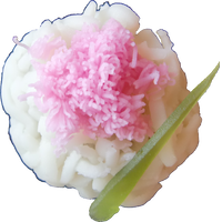 四季の舞　カーネーション