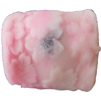 四季の舞　花の宴