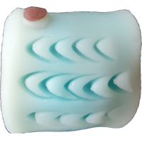 四季の舞　真鯉