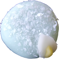 四季の舞　水芭蕉