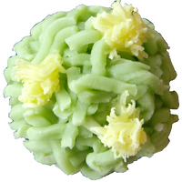 四季の舞　菜の花