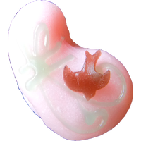 四季の舞　濡れ燕