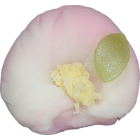 四季の舞　山茶花