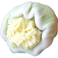 四季の舞　蕗の薹