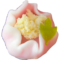 四季の舞　寒牡丹