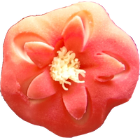 四季の舞　紅梅１