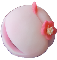 四季の舞　紅梅２