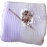 四季の舞　ねこやなぎ