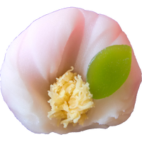 四季の舞　山茶花