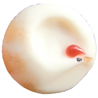 四季の舞　鶴02