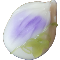 四季の舞　朝顔　蕾