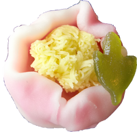 四季の舞　牡丹