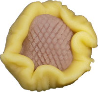 四季の舞　向日葵