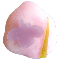 四季の舞　菖蒲